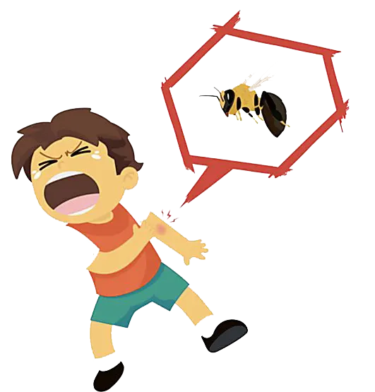 آلرژی به نیش حشرات