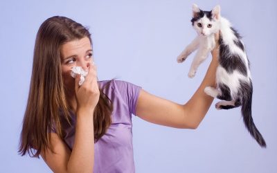 آلرژی و حساسیت به حیوانات خانگی